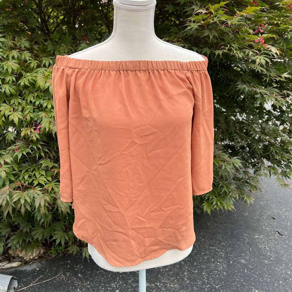 Off the shoulder nutmeg ish colored smooth top from Windsor